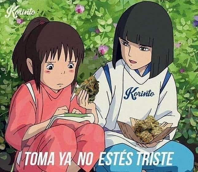 El Paragua Venenoso (@elparaguayo1231) on Twitter photo 
