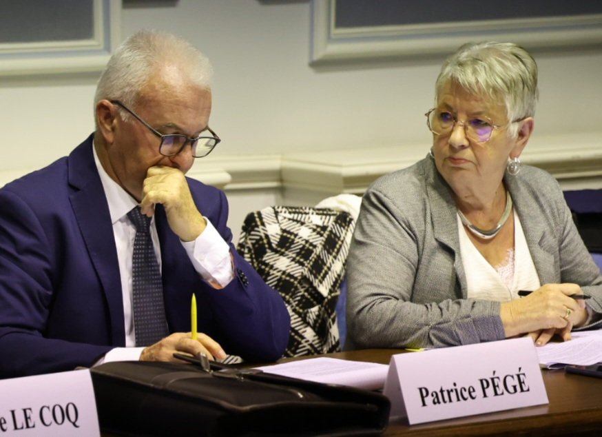 LongueJumelles's tweet photo. [#CMenDirect] GDON - subvention exceptionnelle Face à l’accroissement du nombre d’interventions sur la ville en lien avec les frelons asiatiques et dans l’intérêt de la population longuéenne et jumelloise, le conseil municipal attribue une subvention exceptionnelle à FDGDON 49 https://t.co/kUDKo2pjRk