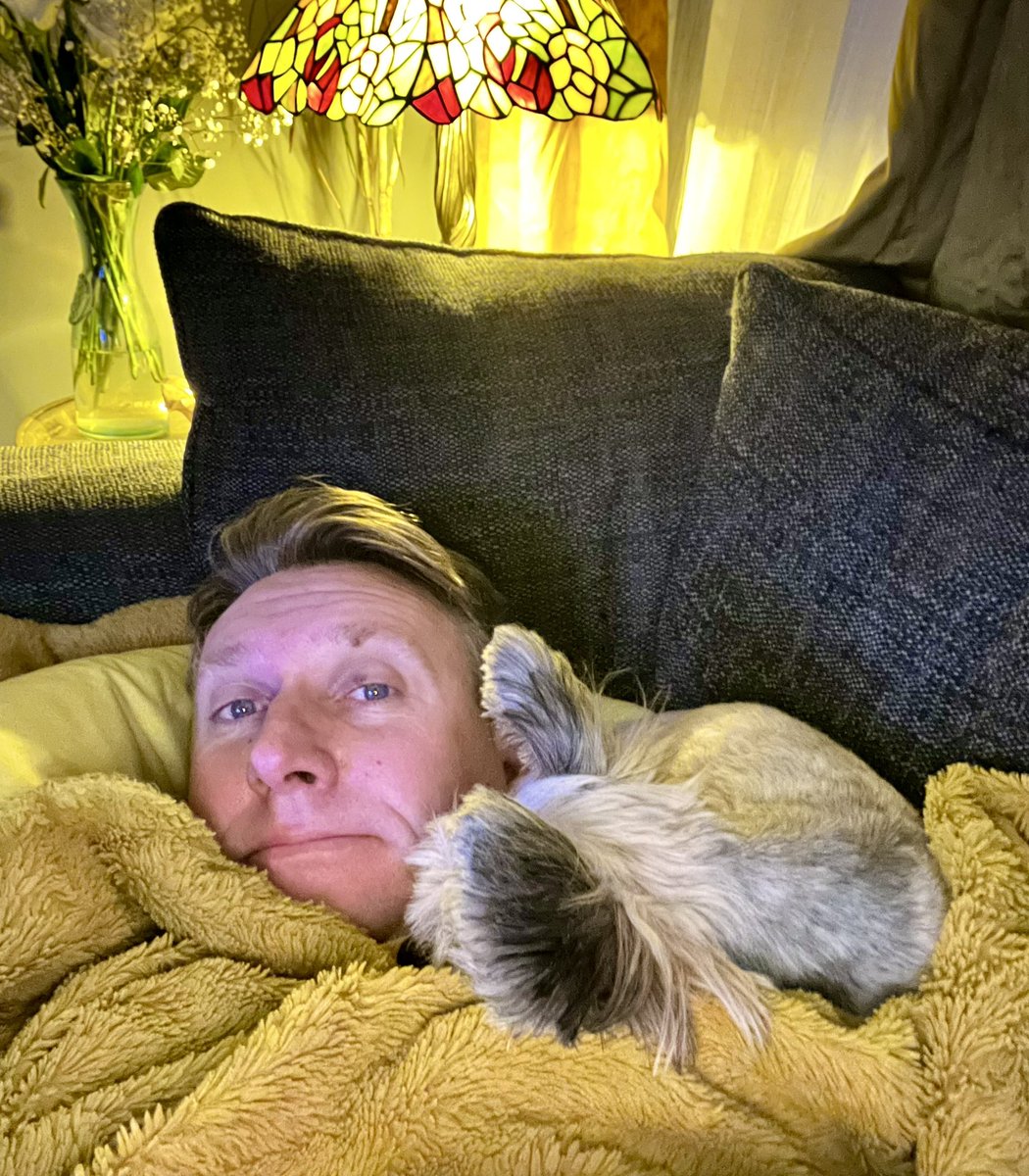 Spent the day on the sofa doing bugger all with this little beauty before panto 2023/24 kicks off! 💛
