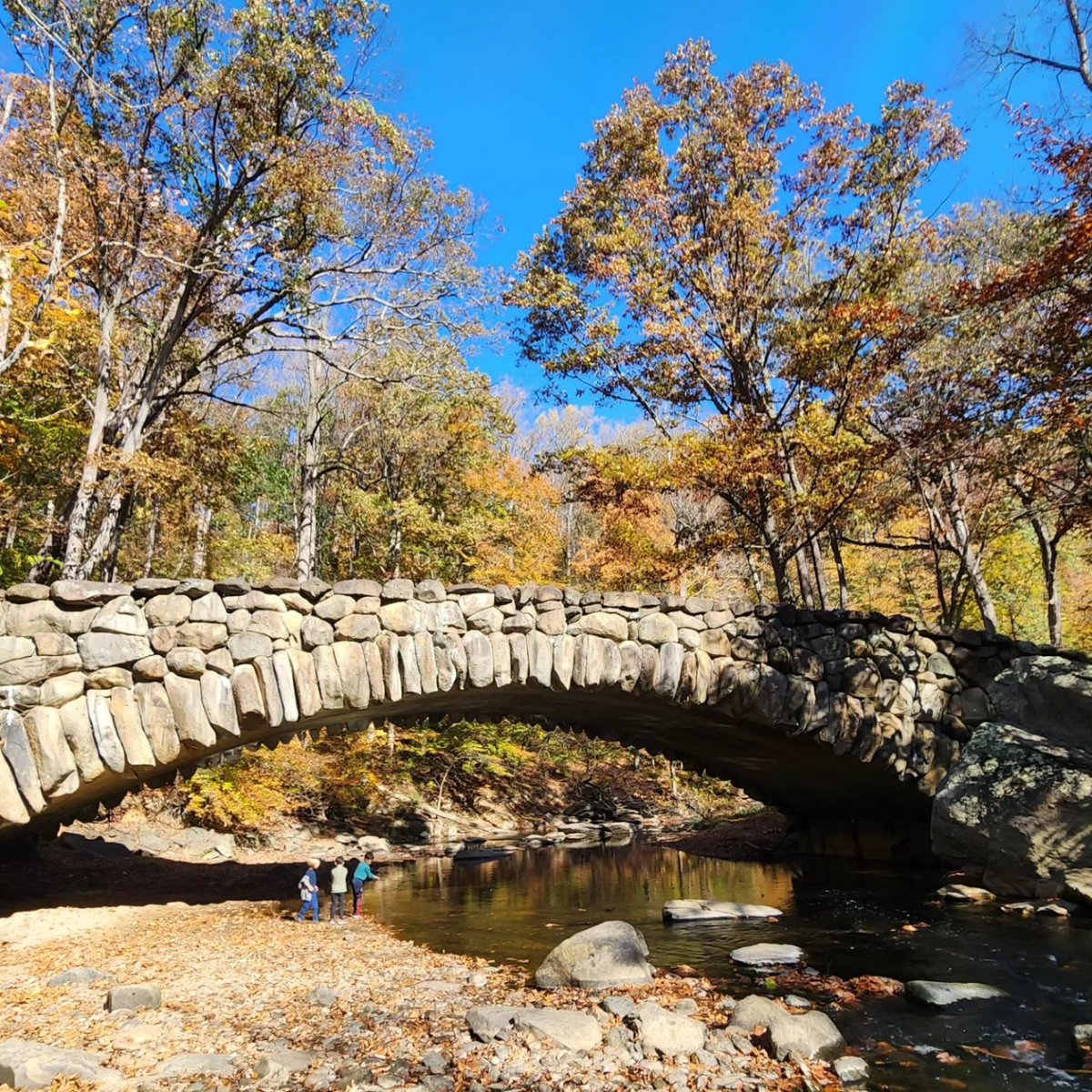 UrbanAdvSquad's tweet image. #ThisIsOutdoorLearning 

During our Introductory Wilderness Survival Skills program, children navigate using compasses, learn to tie useful knots, and practice different firebuilding techniques. 

What's your favorite wilderness skill?