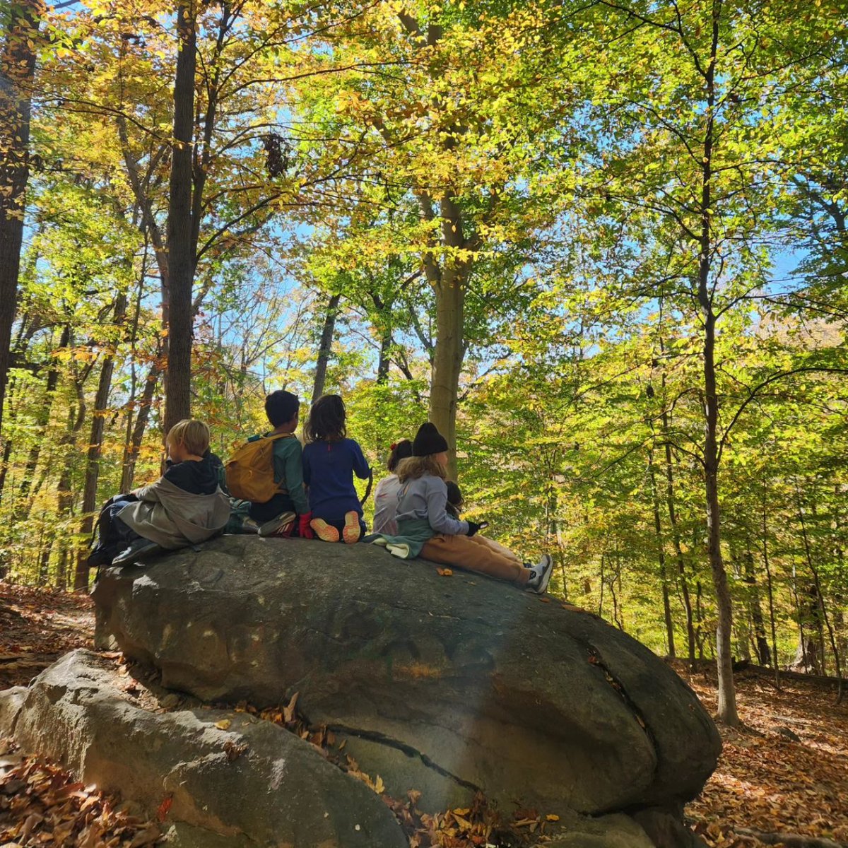 UrbanAdvSquad's tweet image. #ThisIsOutdoorLearning 

During our Introductory Wilderness Survival Skills program, children navigate using compasses, learn to tie useful knots, and practice different firebuilding techniques. 

What's your favorite wilderness skill?