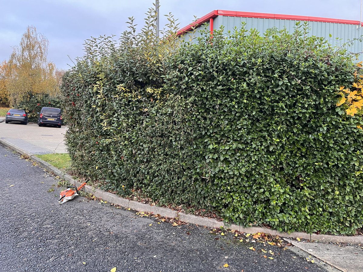 DH_Maintenance's tweet image. That was a #shift to start the week😳 normally be #doublehanded but had to go #solo today. Will be able to get this into shape now once it starts growing again with the light getting in behind too👍 have a good evening everyone ❤️