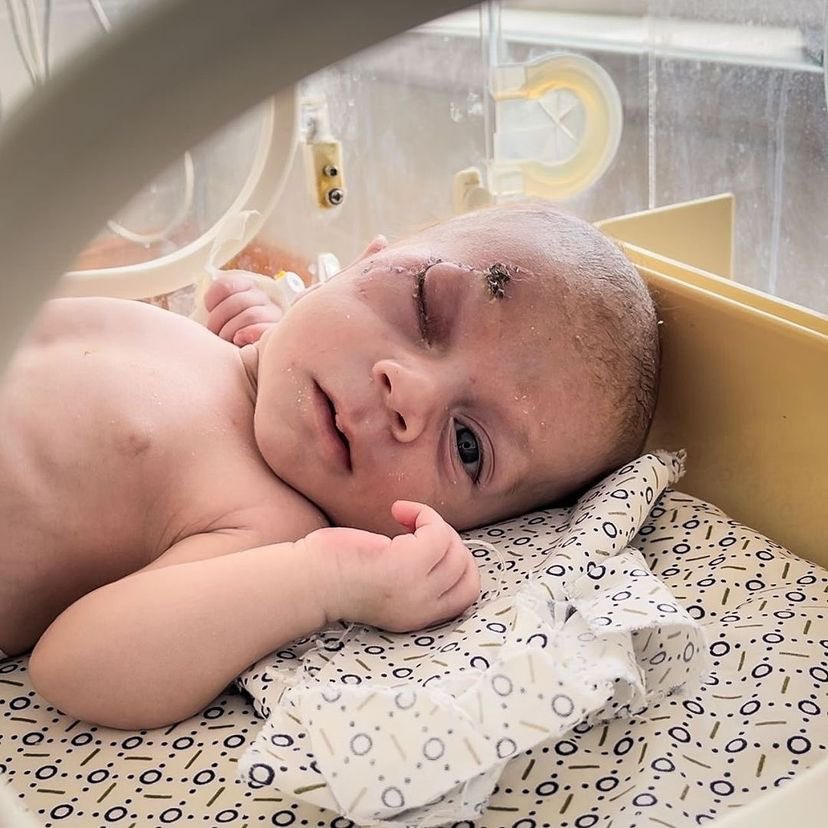 Eye on Palestine tweet media