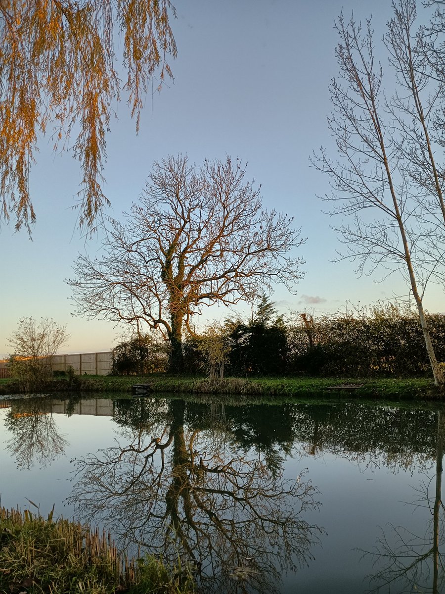 alan ridealgh tweet media