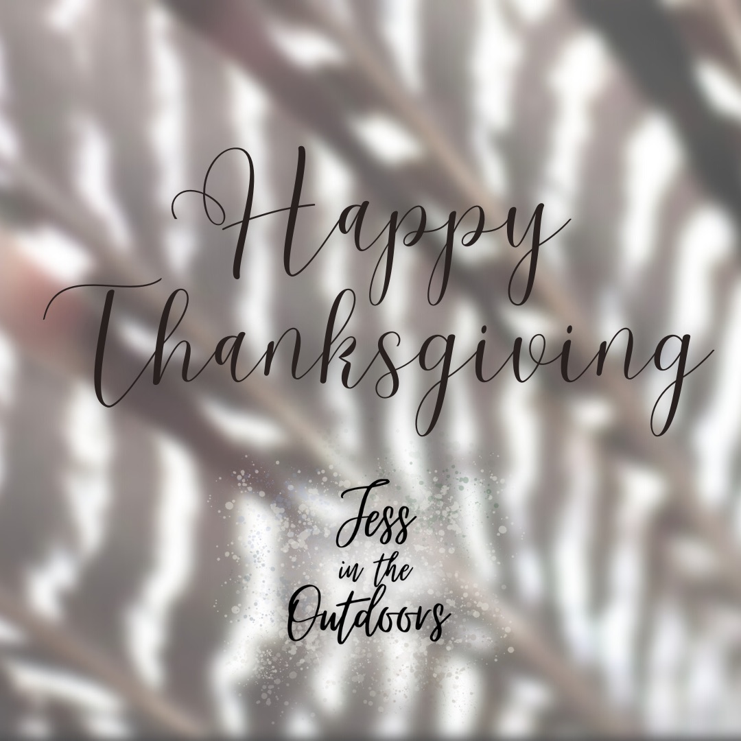 JessHill2017's tweet photo. Have a safe and Happy Thanksgiving from my family to yours 💚🦃

#thanksgiving #outdoors #outdoorswoman #reelcamogirl https://t.co/160WrUUwnj