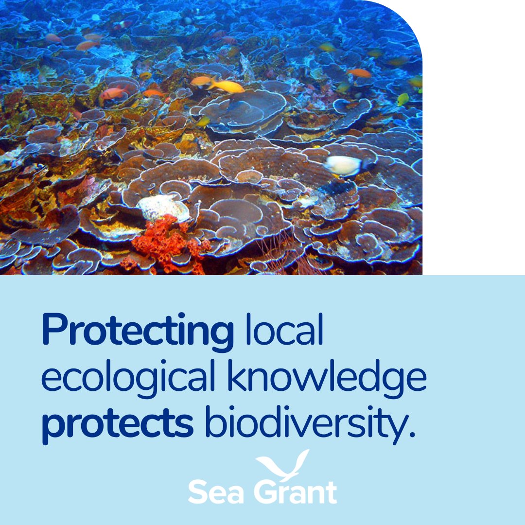 NOAA Sea Grant tweet media