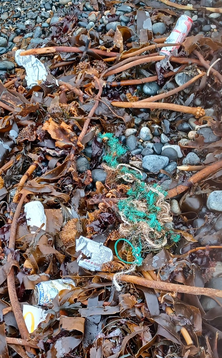 Today's lunchtime #litterpick. Lots of cans, nylon rope and fishing line. #2minutebeachclean #PlasticPollution