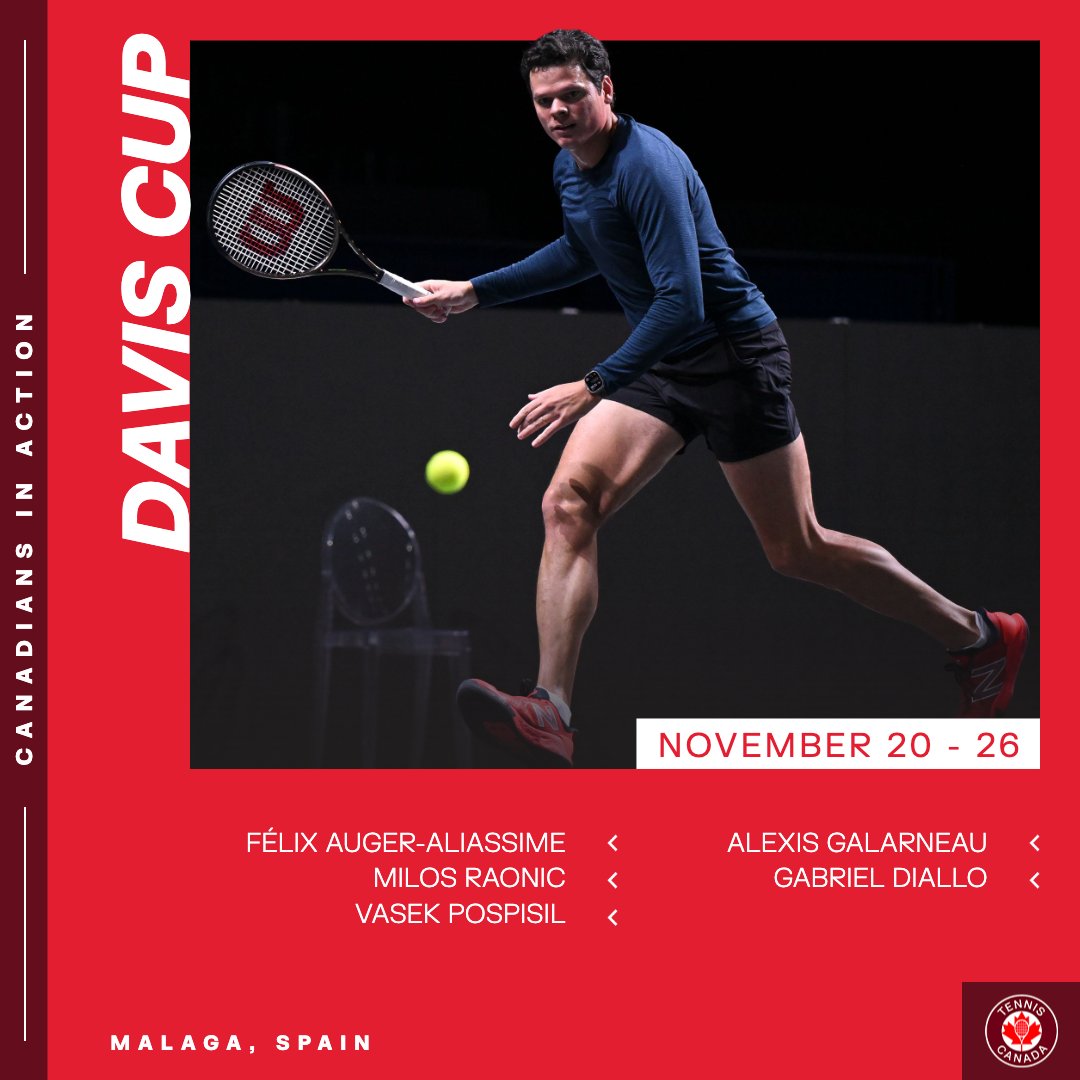 TennisCanada's tweet photo. It's Davis Cup time! ⏰

Cheer on Team Canada presented by @sobeys along with their fellow Canadian tennis stars around the globe this week 👉 https://t.co/6BwQxXk8RZ https://t.co/Xo4TM2JYtI