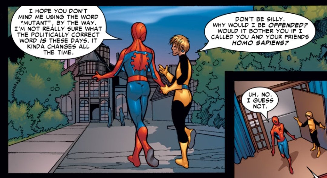 — Marvel Knights: Spider-Man (2004)