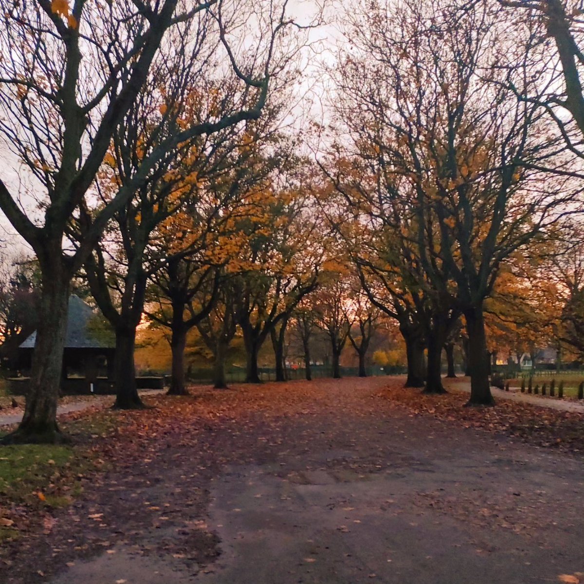 Hauled myself out of bed this morning to go for a reluctant jog and get those endorphins. Remembered that Hull is actually quite pretty and I should probably stop being so grouchy.