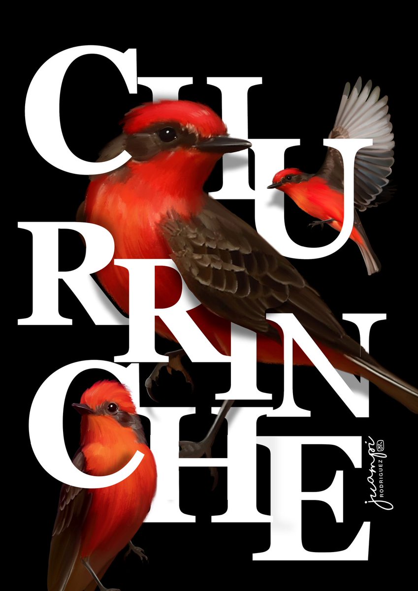 Pájaro Nativo del Uruguay. Ilustracion. "Churrinche" - Native bird of Uruguay. Illustration. "Churrinche."  #UruguayBird #Churrinche #Illustration #BirdArt #NatureDrawing #NativeSpecies