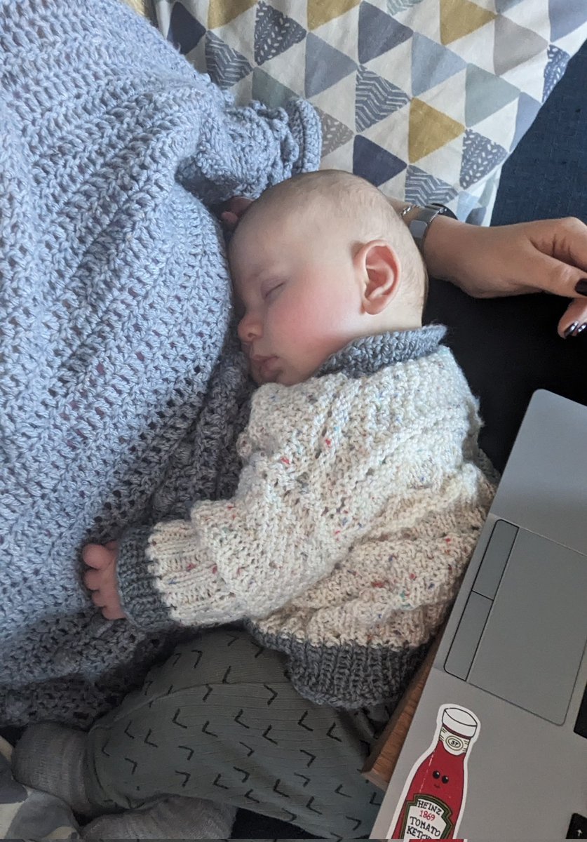 Naptime is accreditation portfolio time 😅 <a href="/Conservators_UK/">Icon - The Institute of Conservation</a> #multitasking