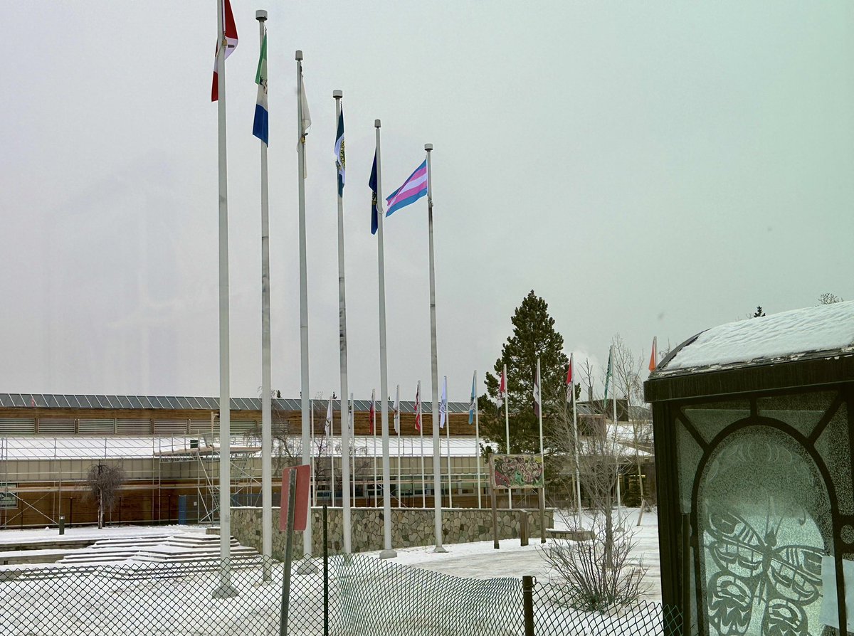 Today at @YukonUniversity, in observance of Transgender Day of Remembrance, we raised this beautiful powerful symbol of pride and resilience. I glanced out my office window and watched it fly, alone amongst 17 other flags, and despite the frigid stillness of a Whitehorse morning.