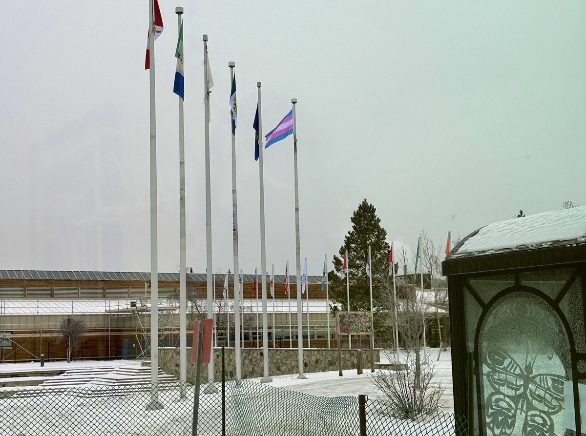 Dr. Lesley Brown (@lesleyabrown) on Twitter photo Today at <a href="/YukonUniversity/">Yukon University</a>, in observance of Transgender Day of Remembrance, we raised this beautiful powerful symbol of pride and resilience. I glanced out my office window and watched it fly, alone amongst 17 other flags, and despite the frigid stillness of a Whitehorse morning. Today at <a href="/YukonUniversity/">Yukon University</a>, in observance of Transgender Day of Remembrance, we raised this beautiful powerful symbol of pride and resilience. I glanced out my office window and watched it fly, alone amongst 17 other flags, and despite the frigid stillness of a Whitehorse morning.