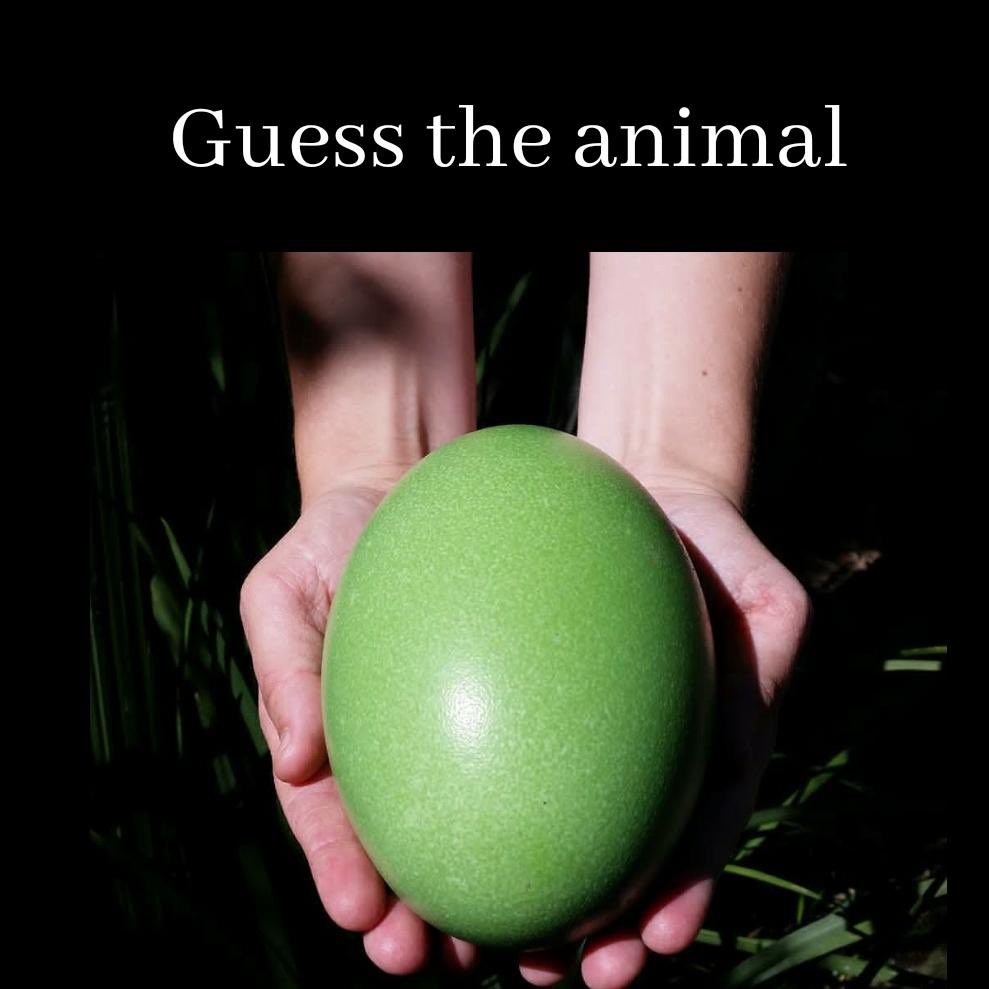 Science girl tweet media