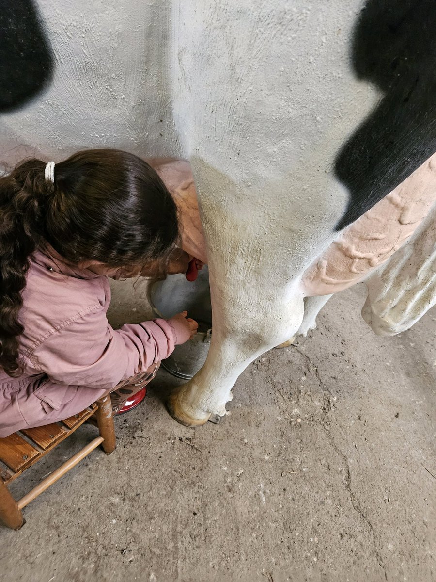 schoolaliman3's tweet photo. Een bezoekje aan de melkboerderij door leerjaar 3 #burgerschap #boerderij #natuur https://t.co/HPDqykwKh1
