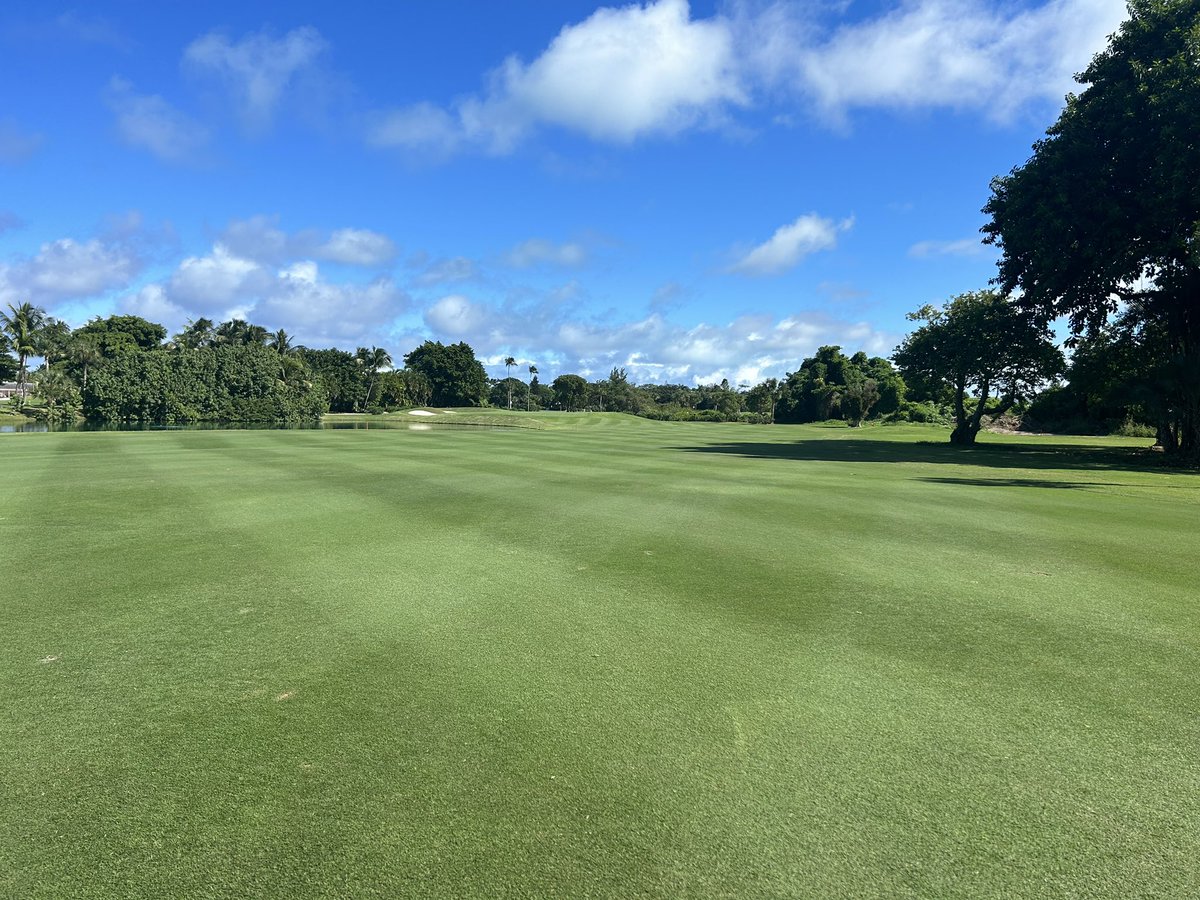 Team dialing the course in ready for thanksgiving