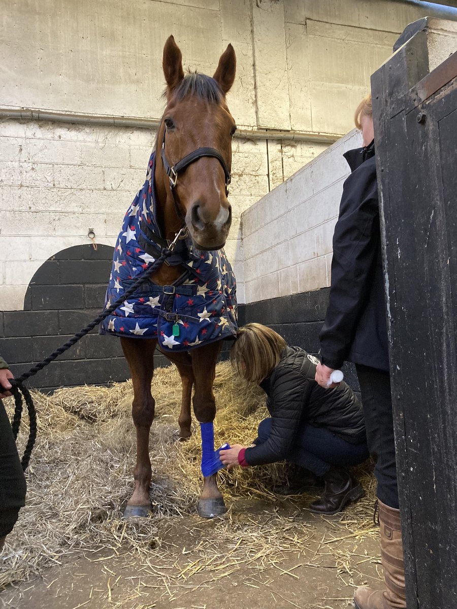 regional_train's tweet photo. Today we hosted our first Level 3 Award in Emergency Equine First Aid Qualification at the National Horseracing College.
The day embedded best practice and new skills.
Dates in 2024 keep your eyes peeled π π
#horsewelfarefirst #staffdevelopment #ipet #RSDproud #industrycpd https://t.co/eNQA3uOc3v