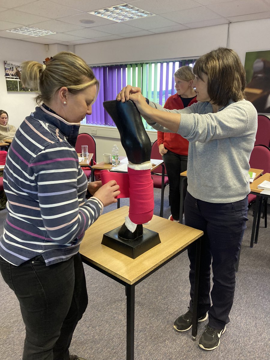 regional_train's tweet photo. Today we hosted our first Level 3 Award in Emergency Equine First Aid Qualification at the National Horseracing College.
The day embedded best practice and new skills.
Dates in 2024 keep your eyes peeled π π
#horsewelfarefirst #staffdevelopment #ipet #RSDproud #industrycpd https://t.co/eNQA3uOc3v