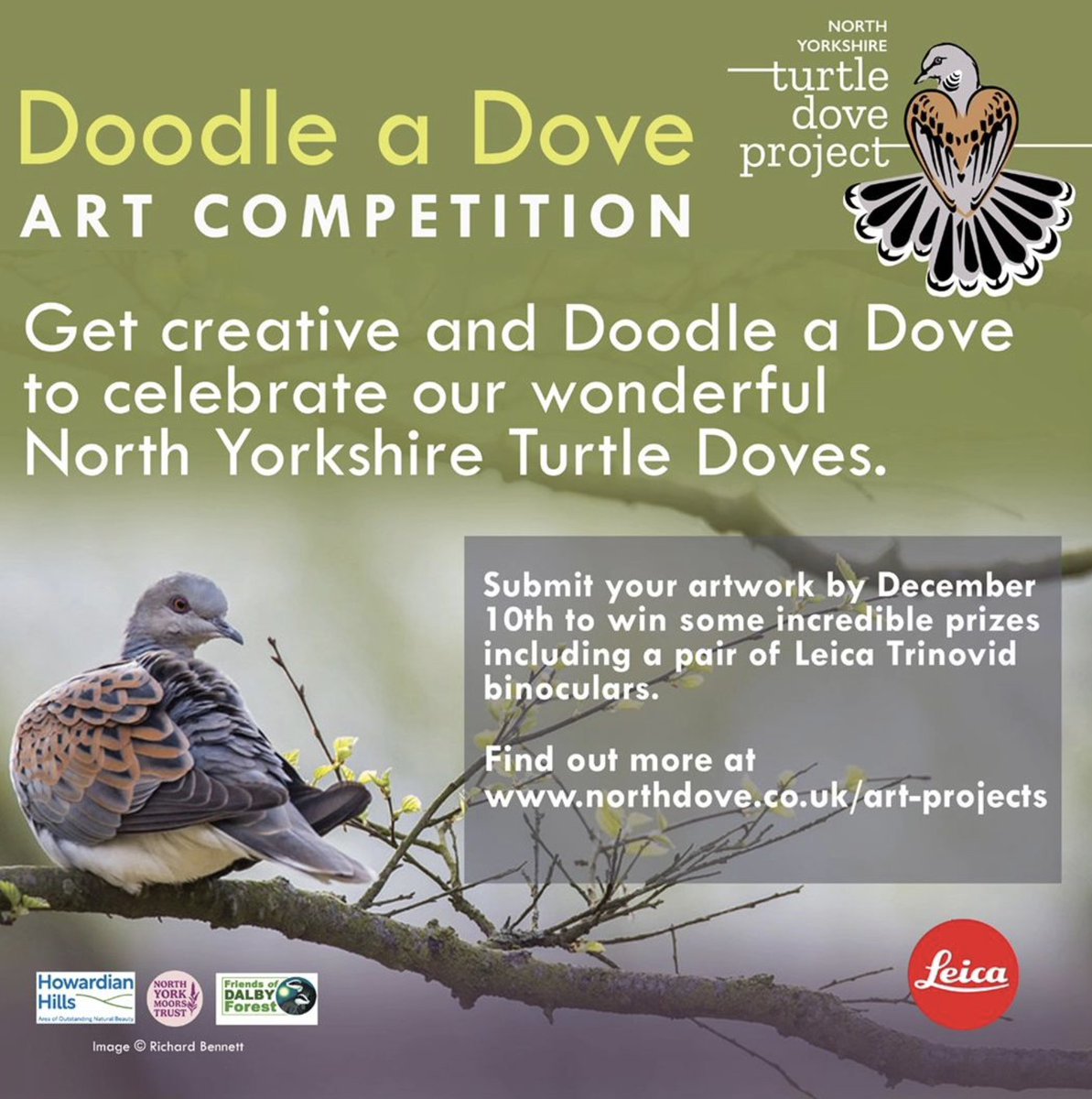 katemacrae's tweet image. I would LOVE to see a turtle dove in the wild.....

I've just entered this lovely competition to 'doodle a dove' from @north_dove. Get your drawing stuff out and have a go..... all for a good cause and some great prizes!

 @LeicaBirding  #doodleadove