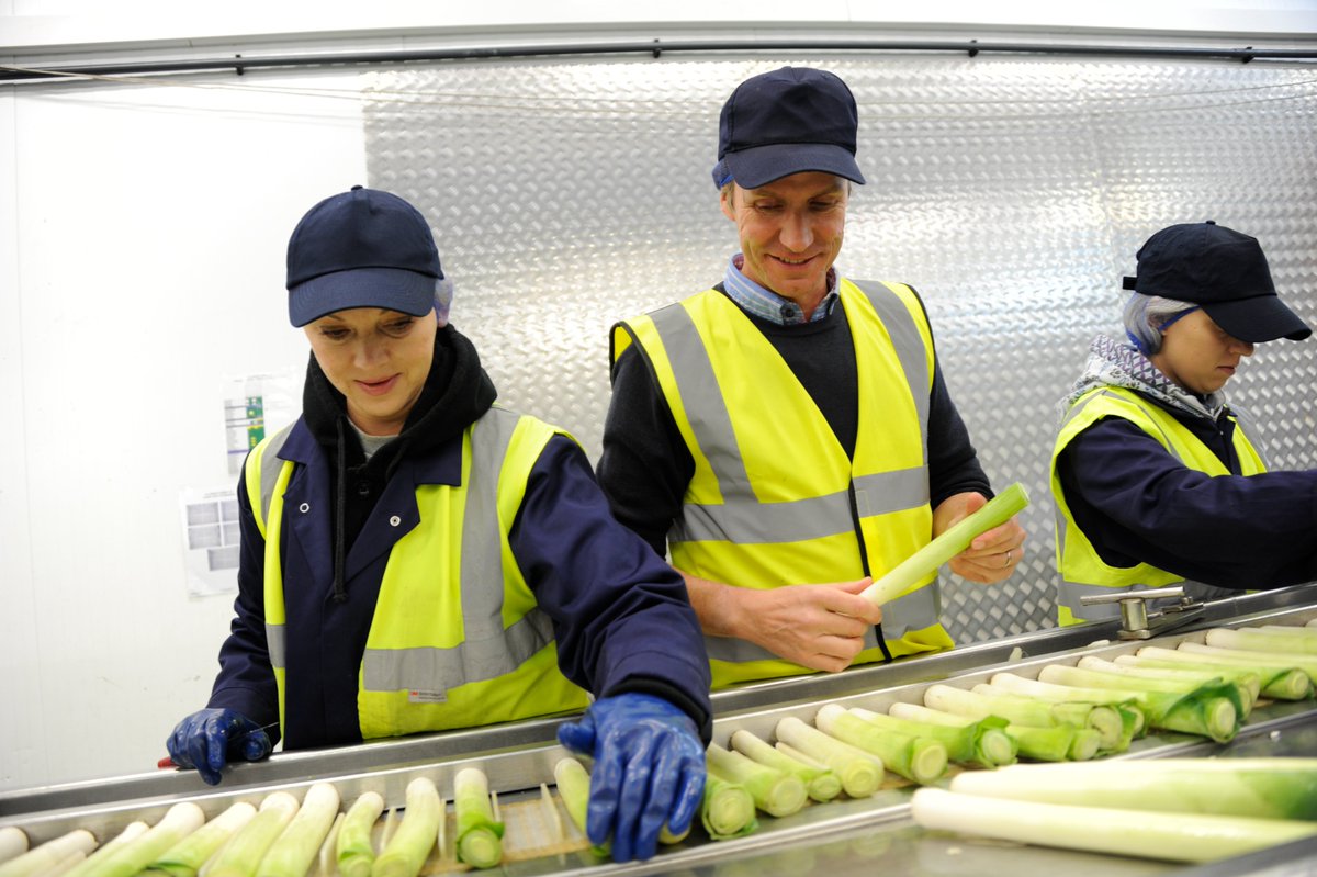 It takes a lot of hard work to get leeks from the field onto our plates. Here the team at Allpress Farms, Chatteris are hard at work in the packhouse.

#britishfarming #britishleeks #leeks #eattheseasons #seasonalproduce #healthyeating #farmtofork #britishgrowers #chatteris