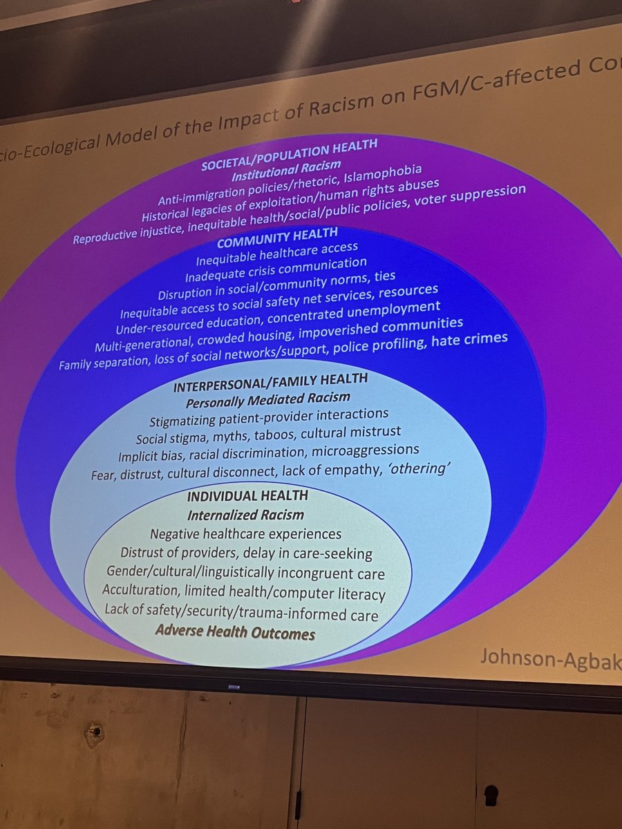 Socio-ecological model of impact of racism on FGM/C communities