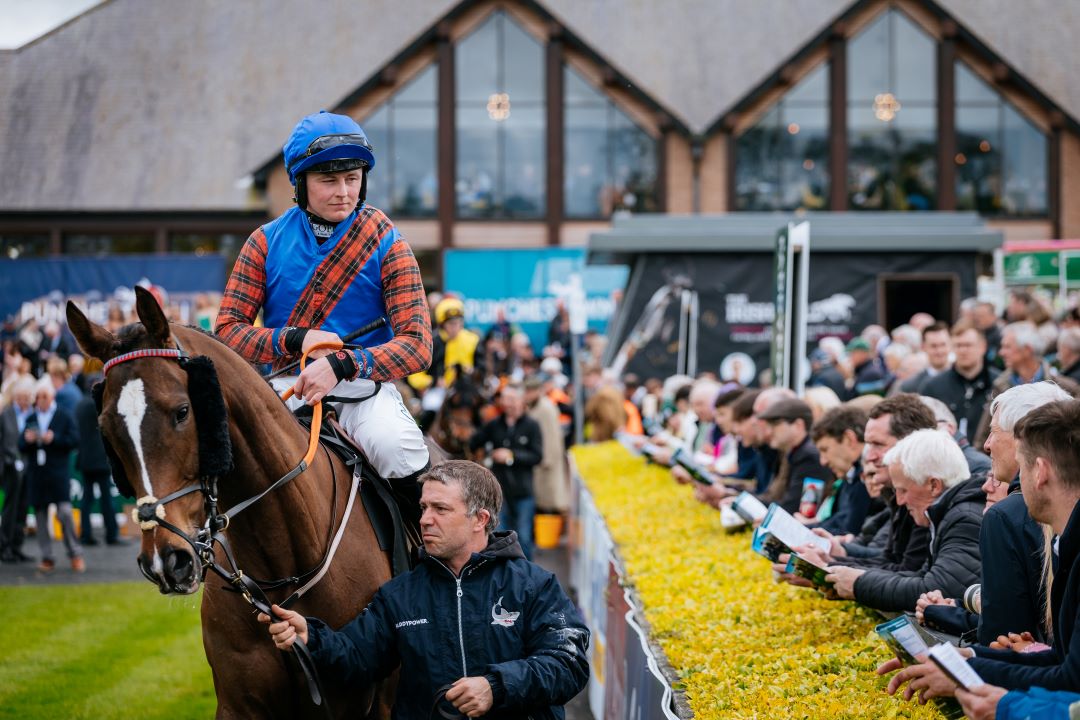 ⭐Big Deal? Great Deal!  

⭐Pay €25 and unlock a full weekend of great sport, music, craic, food, live music and more. Limited Quantity.

⭐The new look Punchestown  Winter Festival - 25 &amp; 26 November. 

⭐punchestown.com/fixtures/