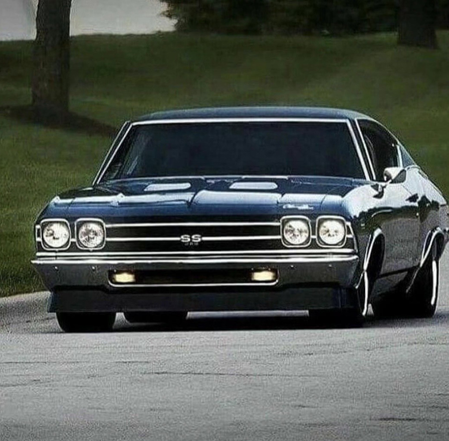 AmericanMusclePower tweet media