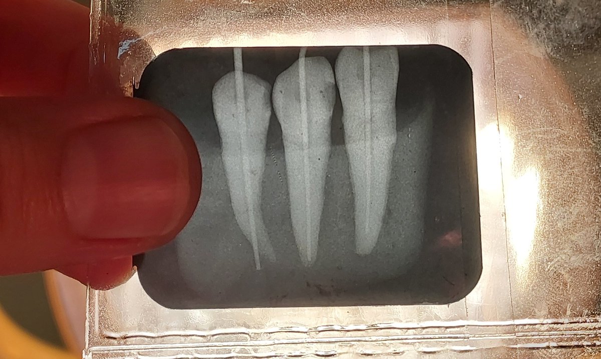 Yanlış yoldayım ama yol nasıl güzel :)