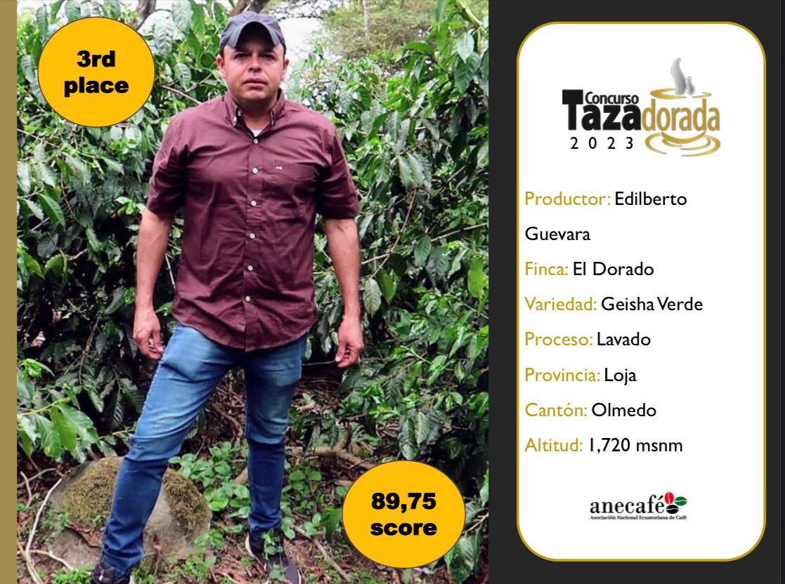 Felicitamos a los ganadores de la 17ava Edición del Evento TD Arábiga 🇪🇨 y a todos los productores participantes, nos llena de orgullo y admiración la gran calidad y trabajo que realizan día a día por mejores tiempos para la caficultura ecuatoriana 👏🏆 👨‍🌾☕️