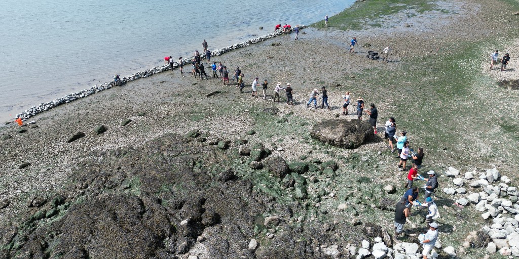 For many Swinomish Indian Tribal Community members, building a clam garden revives a traditional practice innovated by their ancestors and helps to heal relationships with important places. Read more about restoring tradition, place, and connection: bit.ly/45tqDlE