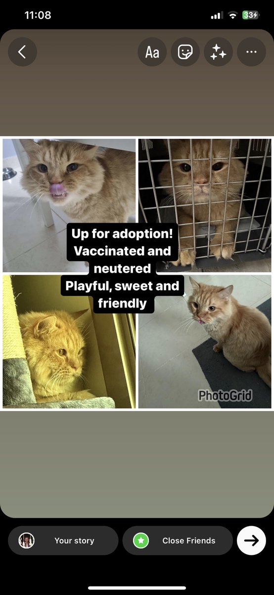 Dm for info