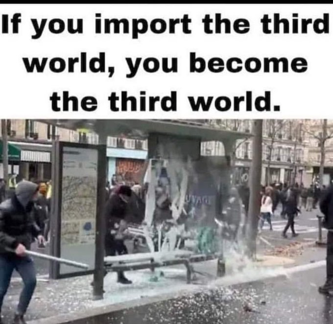 The experiment failed. 
Can we start the mass deportations now?
🧐