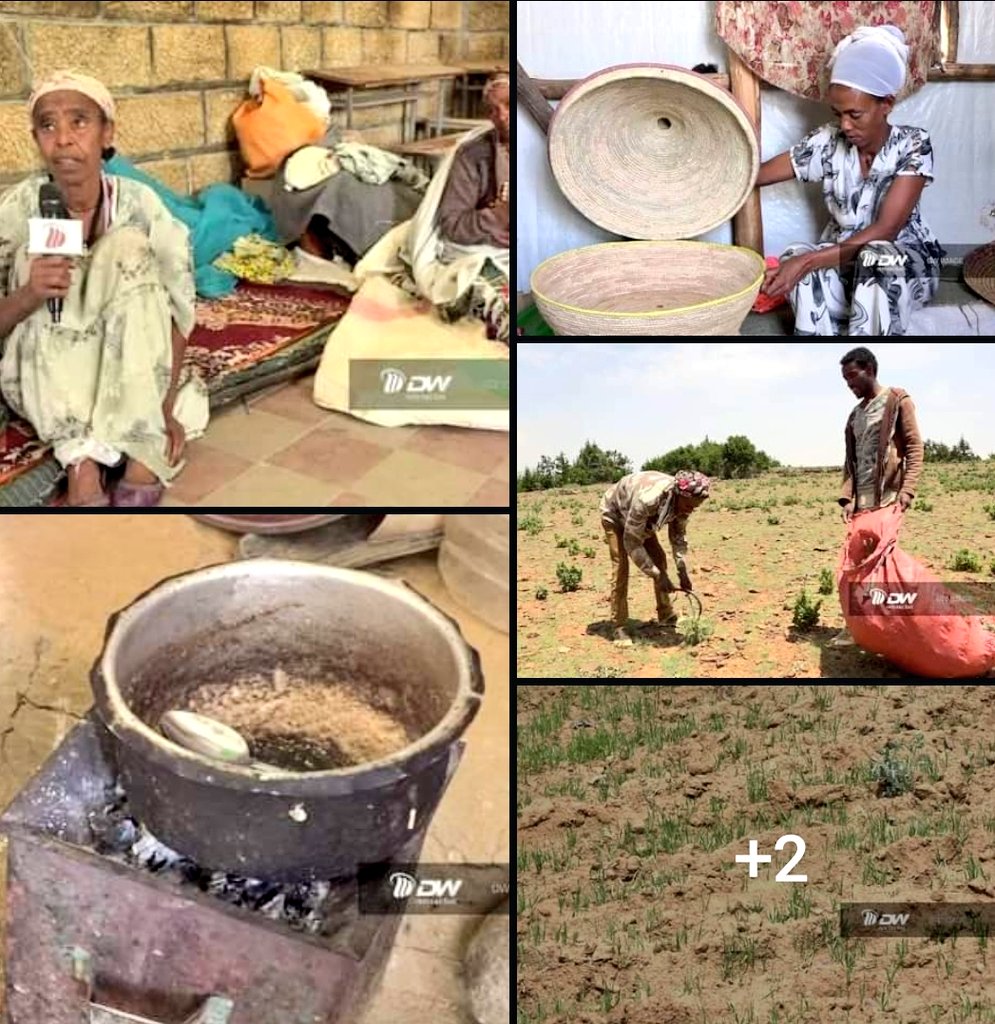 getish_desta's tweet photo. 📢 No food, even to eat once a day. We are starved, lots have lost thier lives due to hunger and lack of medication we call people of the world to save us.a mothers said
Dear @USAID @WFP @ICRC @MSF @WHO @SavetheChildren @FAO to #ResumeAid4Tigray urgently now!!
@hrw
@getish_desta https://t.co/cgGaa5UqVL