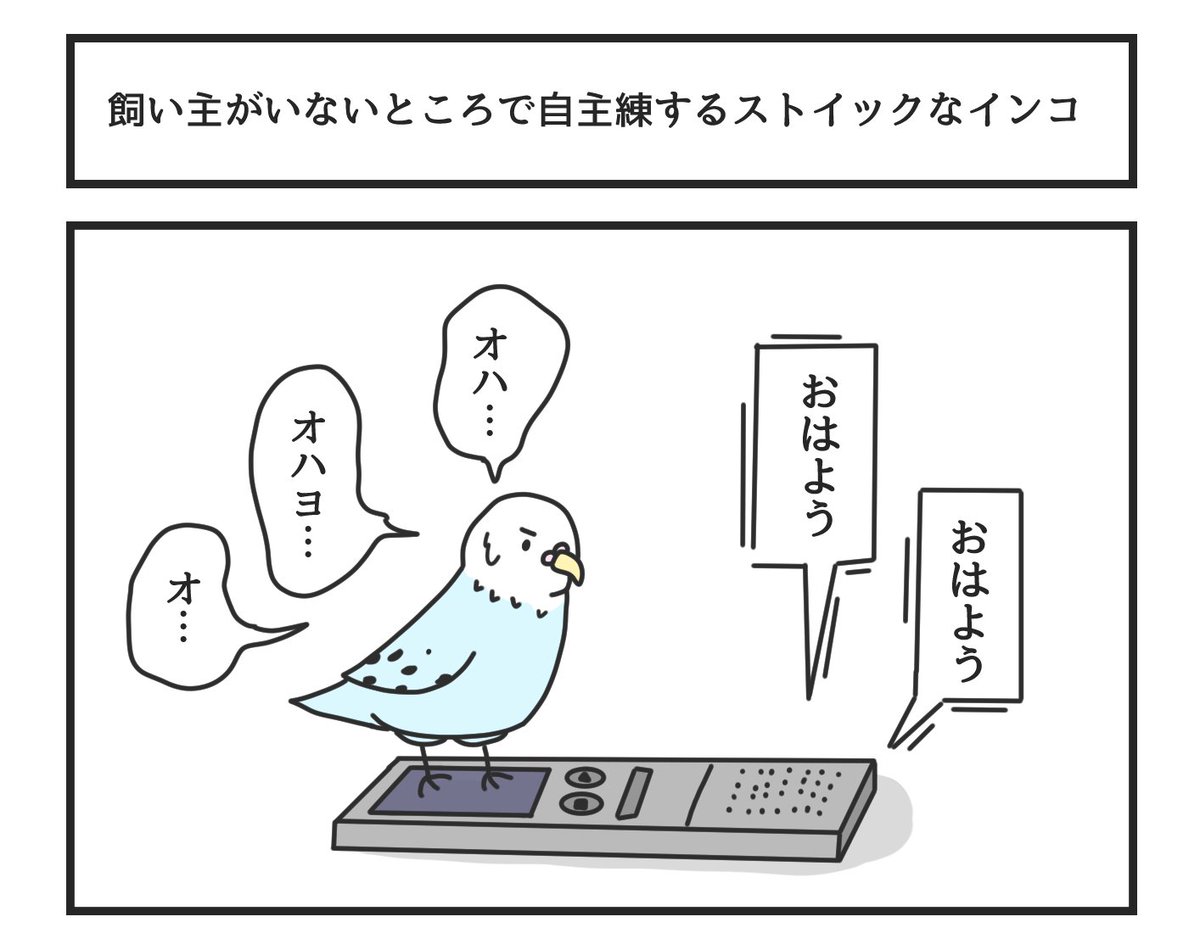 飼い主がいないところで自主練するストイックなインコ 