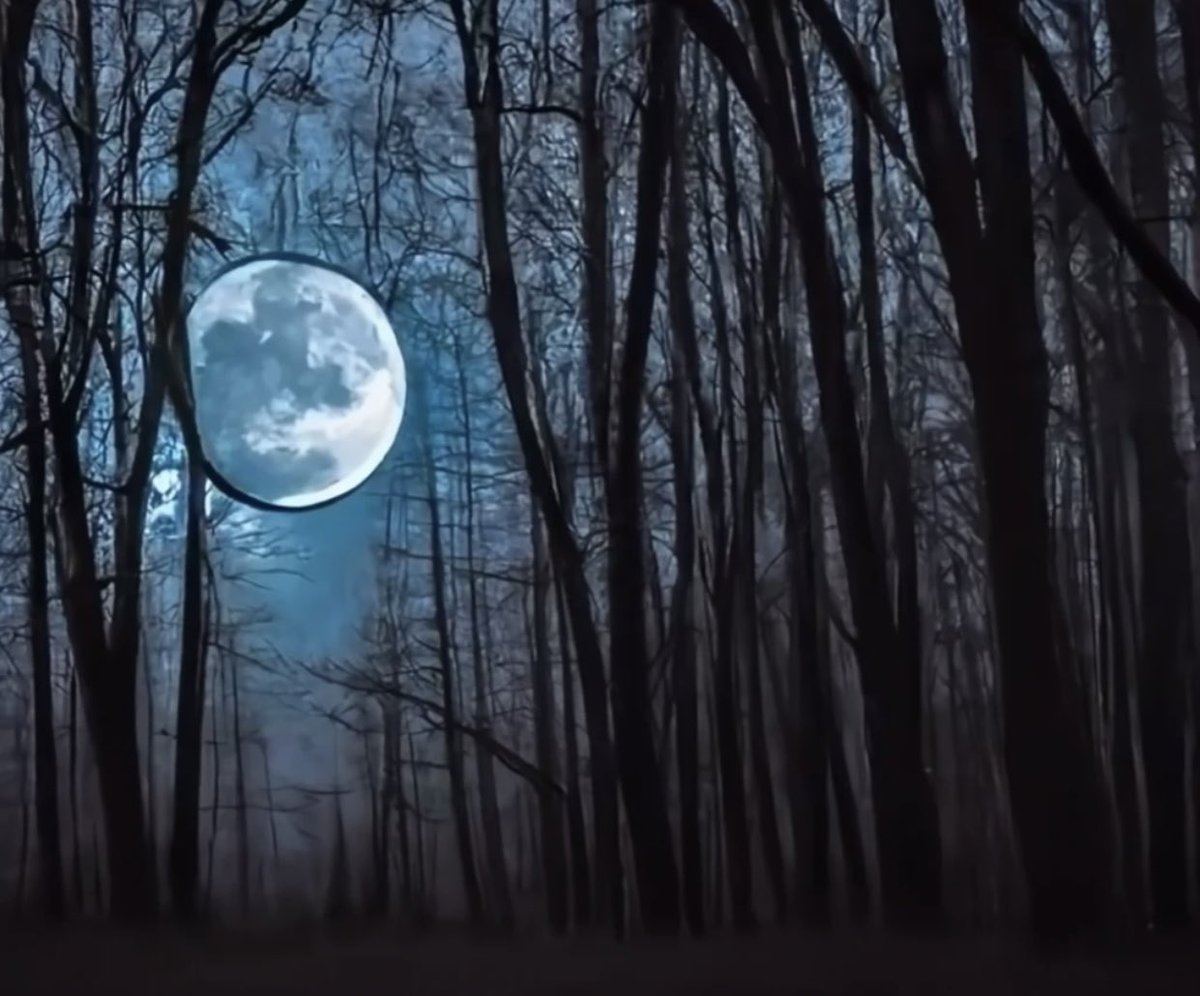 witchravenwood's tweet photo. Full moon night…take chances, for emotions pulse and swell. Drift into dream states, and work a spell. ✨ #thoughtsofawoodwitch #fullmoonmagick https://t.co/Y532zDzmn3