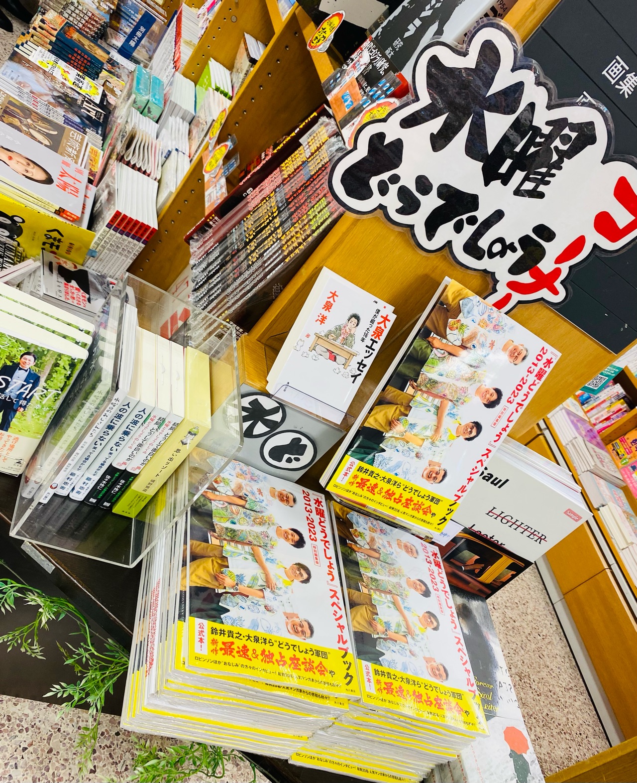 水曜どうでしょう　DVD 2本セット　付属の解説書&シール全てあります！ 正規品・美品】水曜どうでしょう DVD全集 vol.2・3・5 セット