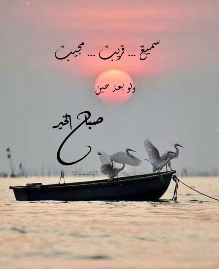 أوراق الخريف🍁🍂 (@sanidy80) on Twitter photo 