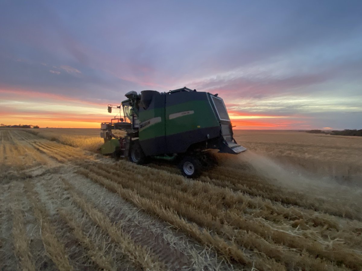 Trial harvest progressing between the storms. ⁦@Zurn_Harvesting⁩ ⁦⁦@toddomcdonald⁩