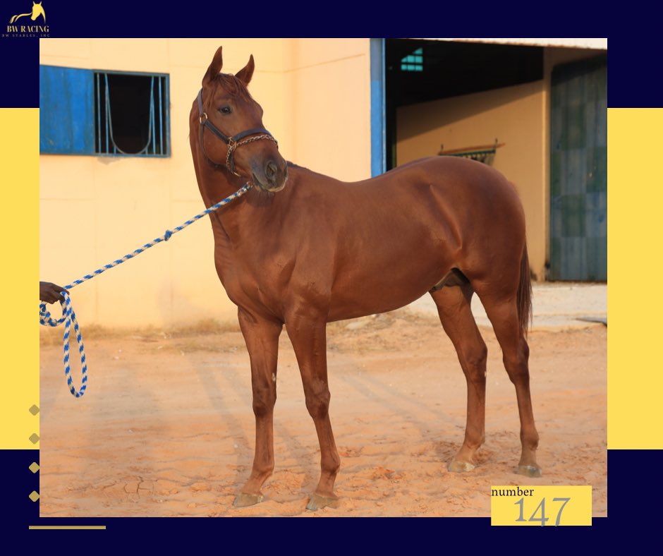 BW RACING tweet media