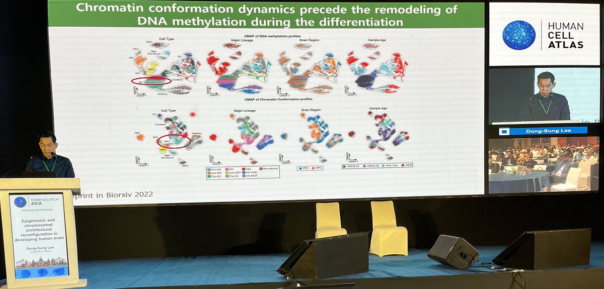 shyam_lab's tweet photo. Dong-Sung Lee, University Of Seoul, with another transformative single cell assay (sn-m3C-seq): sc multimodal chromatin conformation+dna methylation. Applied to fetal brain. Chromatin confirmation changes preceded remodeling of dna methylation during differentiation. #HCA2023Asia https://t.co/bWirLkt8Oy