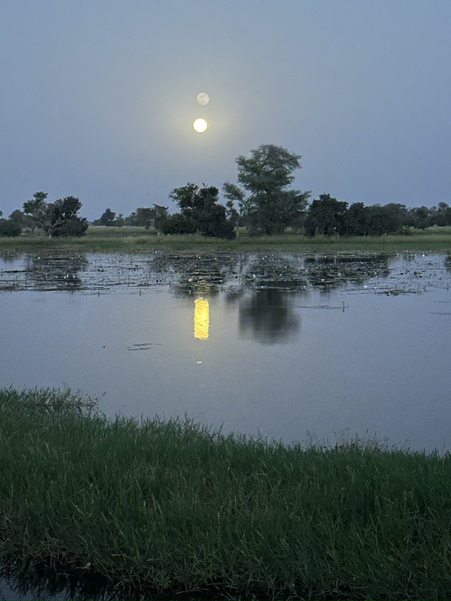 mhcopy's tweet photo. Experience the breathtaking of the sunset casting its warm glow over a segment of River Kamadougou. https://t.co/gwHOm6FkNh