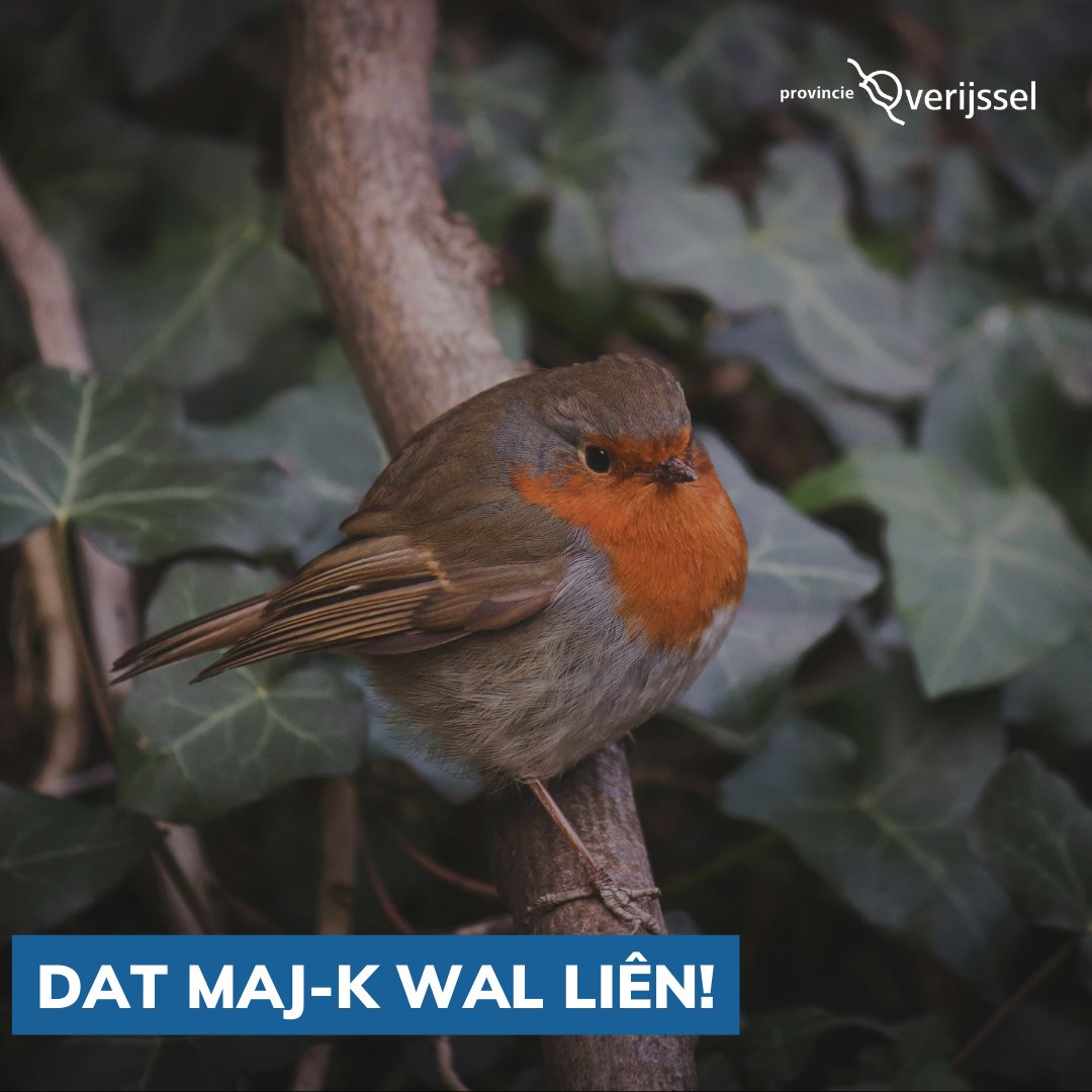 ProvOverijssel's tweet image. #mooioverijssel #dialect #streektaal #cultuur