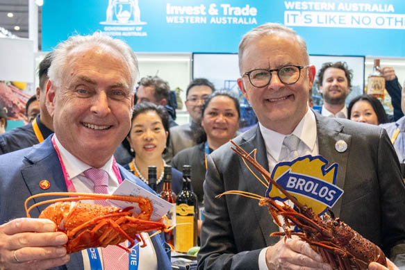 From showcasing Aussie lobsters to diplomatic strides, PM Albanese's journey marks a shift. However, challenges persist as global peers seek effective filters in engaging with #China's evolving dynamics. Read insights by Rowan Callick. 🤝🇦🇺🇨🇳 👉 ow.ly/ZI1g50QbPqr