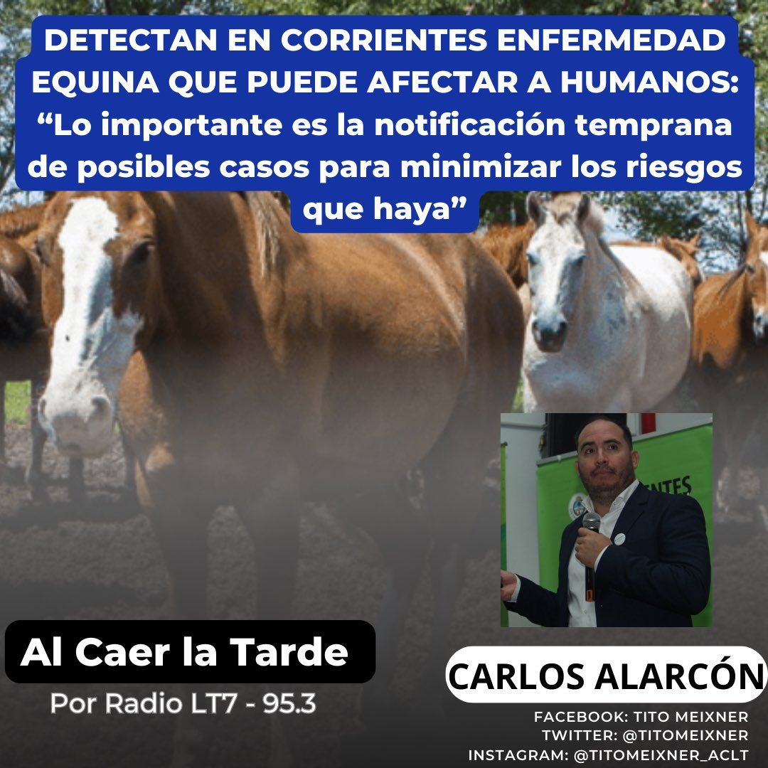 titomeixner's tweet photo. Hoy en Al Caer la Tarde entrevistamos a Carlos Alarcón sobre la enfermedad viral que se detectó en equinos de Corrientes. 🎙️📻
Nota completa 👉🏼 https://t.co/TtDx5d9Ngj https://t.co/XA6PgaWJV0