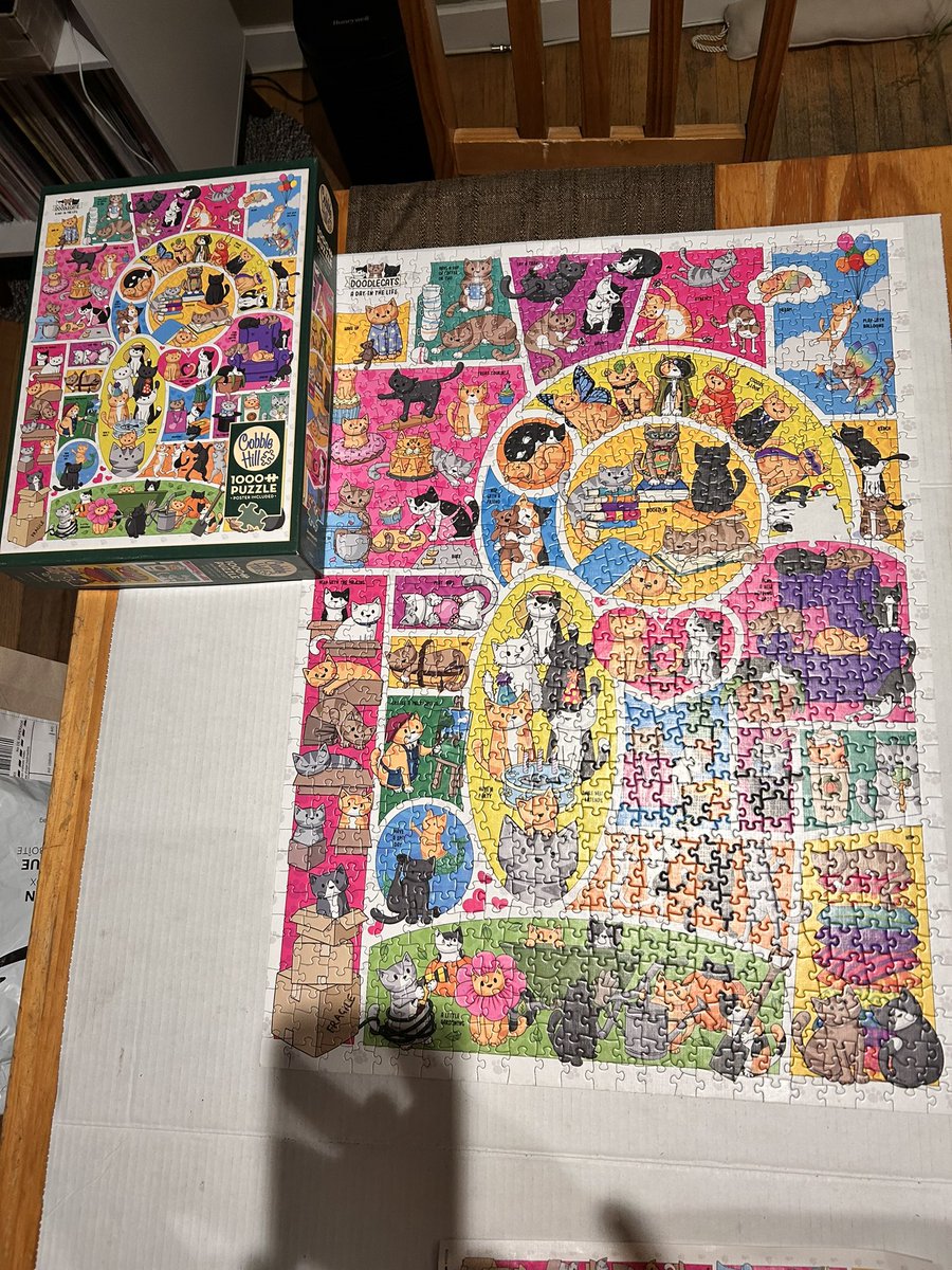 Nikki9Nine tweet media