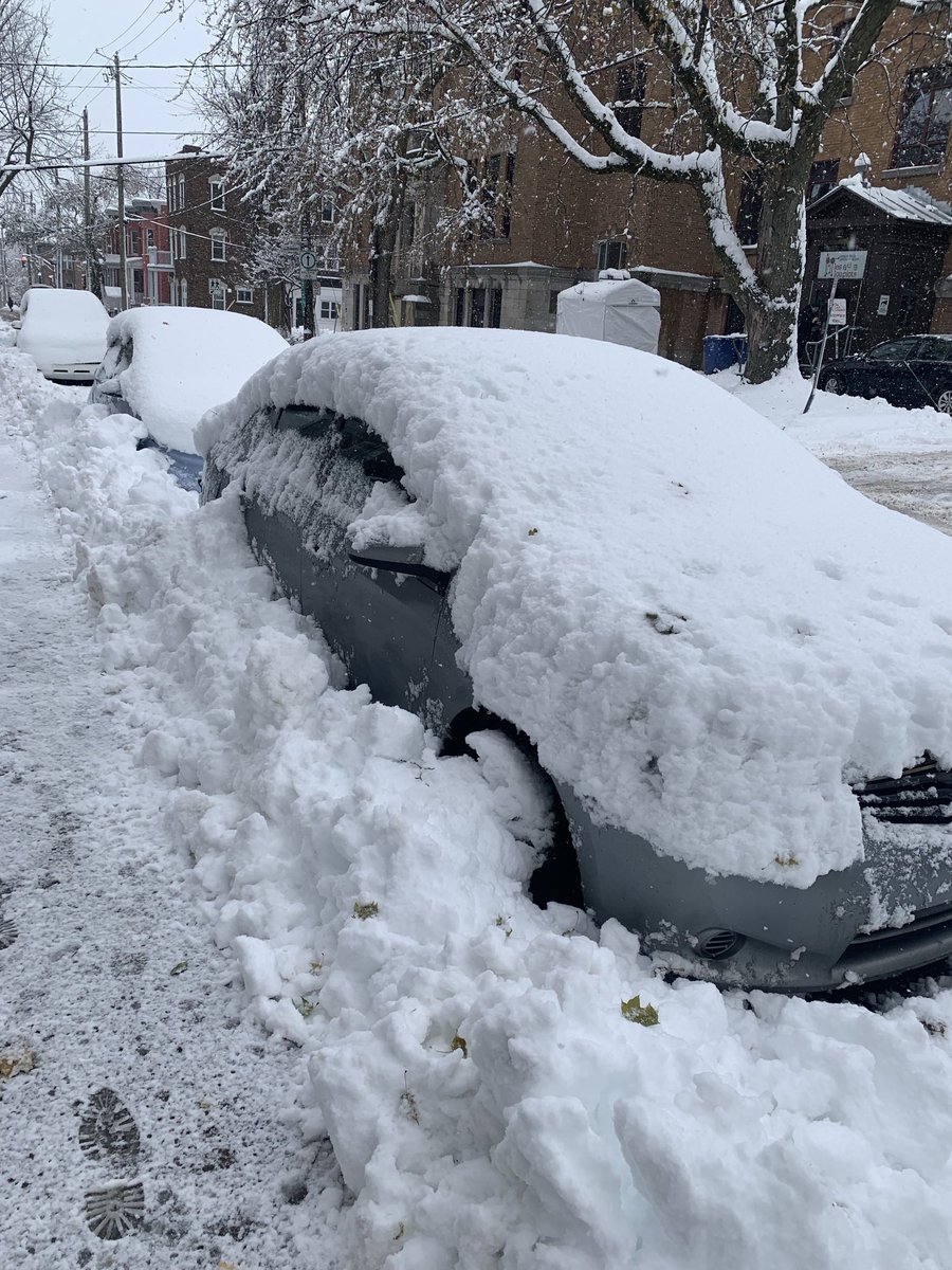 Philip Authier tweet media