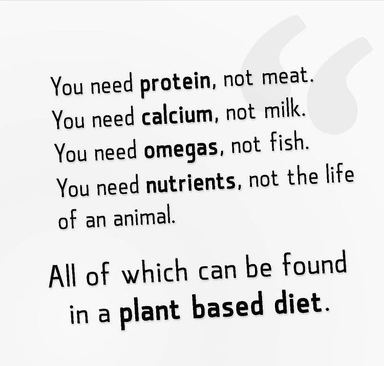 Eat plants not cruelty. #GoVegan