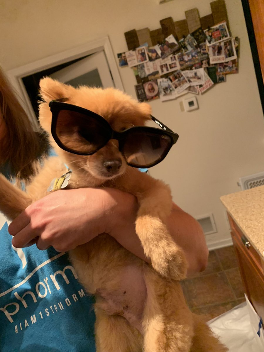 Circle of life completed in the Verdun household. 12 days ago we welcomed little Peyton Marie and she’s perfect. Today we had to put down our doggy due to kidney failure. 15 years with my wife and 4 with me. He’s already missed but he waited until our daughter arrived.