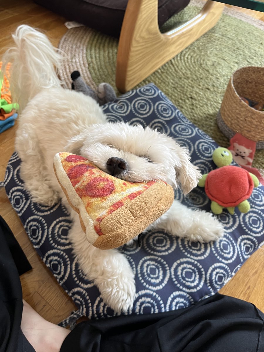 ෴෴෴ˢᵉⁿᵉᶜᵃסּ ͝סּ ͝סּ ͝ tweet media